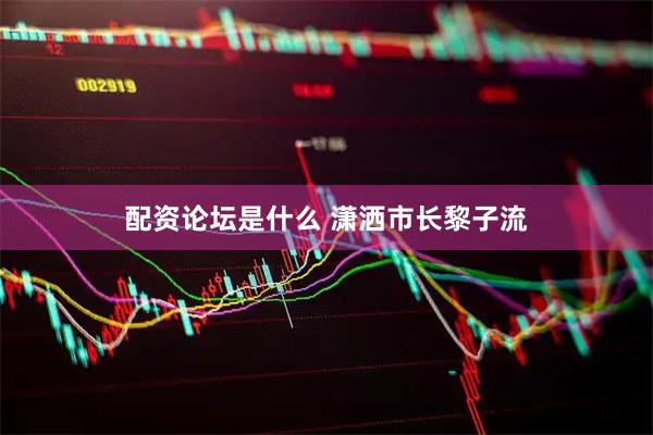 配资论坛是什么 潇洒市长黎子流