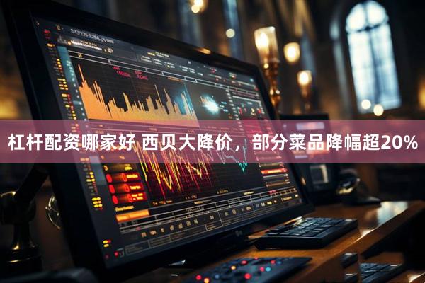 杠杆配资哪家好 西贝大降价，部分菜品降幅超20%